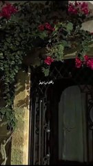 اللہ کی رحمت | دل کو چھو لینے والی ویڈیو جو ایمان تازہ کر دے"