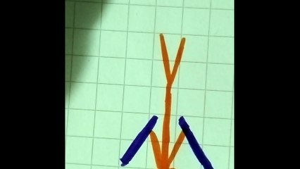 Ninja arancione con pastone personaggi 2