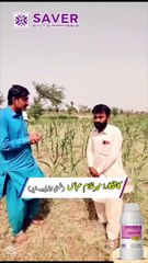 Foot Print || Say Goodbye to Weeds in Your Sugarcane Field!