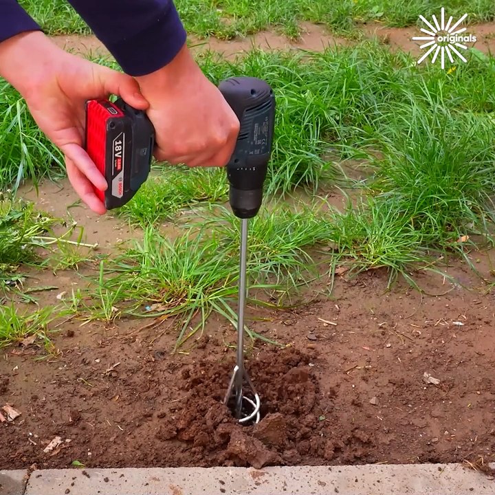 Grow your own garden oasis using these tips!🌱🌸