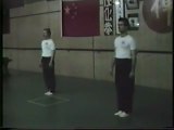 1983-10-23 Fondazione Accademia Wushu Bologna con M° DAN SITA e allenametro Long Xing Quan 武术 散手 散打