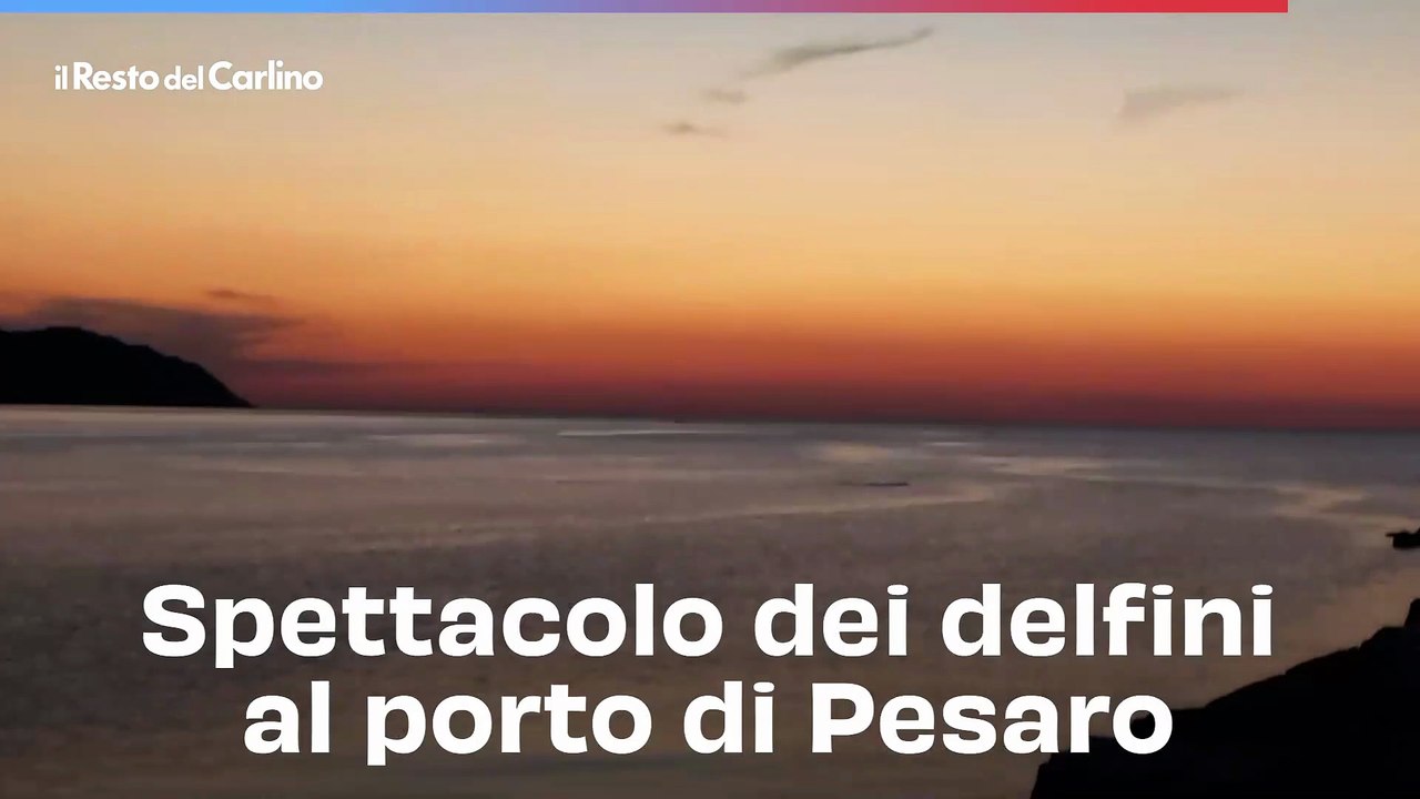 Julian Schnabel | Pace Gallery, image size:1280x720