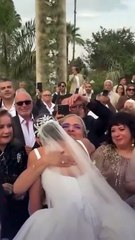 لقطات من زفاف الممثلة أمينة خليل