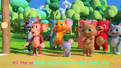 The Tortoise and the Hare! - CoComelon Furry Friends - Animals for Kids