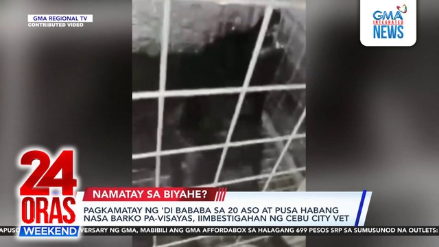 Pagkamatay ng 'di bababa sa 20 aso at pusa habang nasa barko pa-Visayas, iimbestigahan ng Cebu City Vet | 24 Oras Weekend