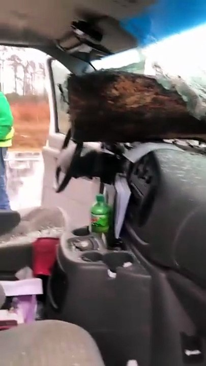 Aftermath of Real-life 'Final Destination'