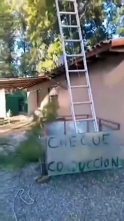 Dont cut the branch on which you are sitting