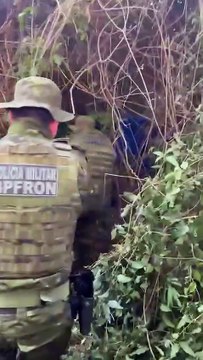 Apreensão de 8,5 toneladas de maconha em Altônia