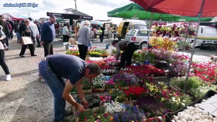 DERVENTA 2025. - NA ZELENOJ PIJACI 4K 60 fps