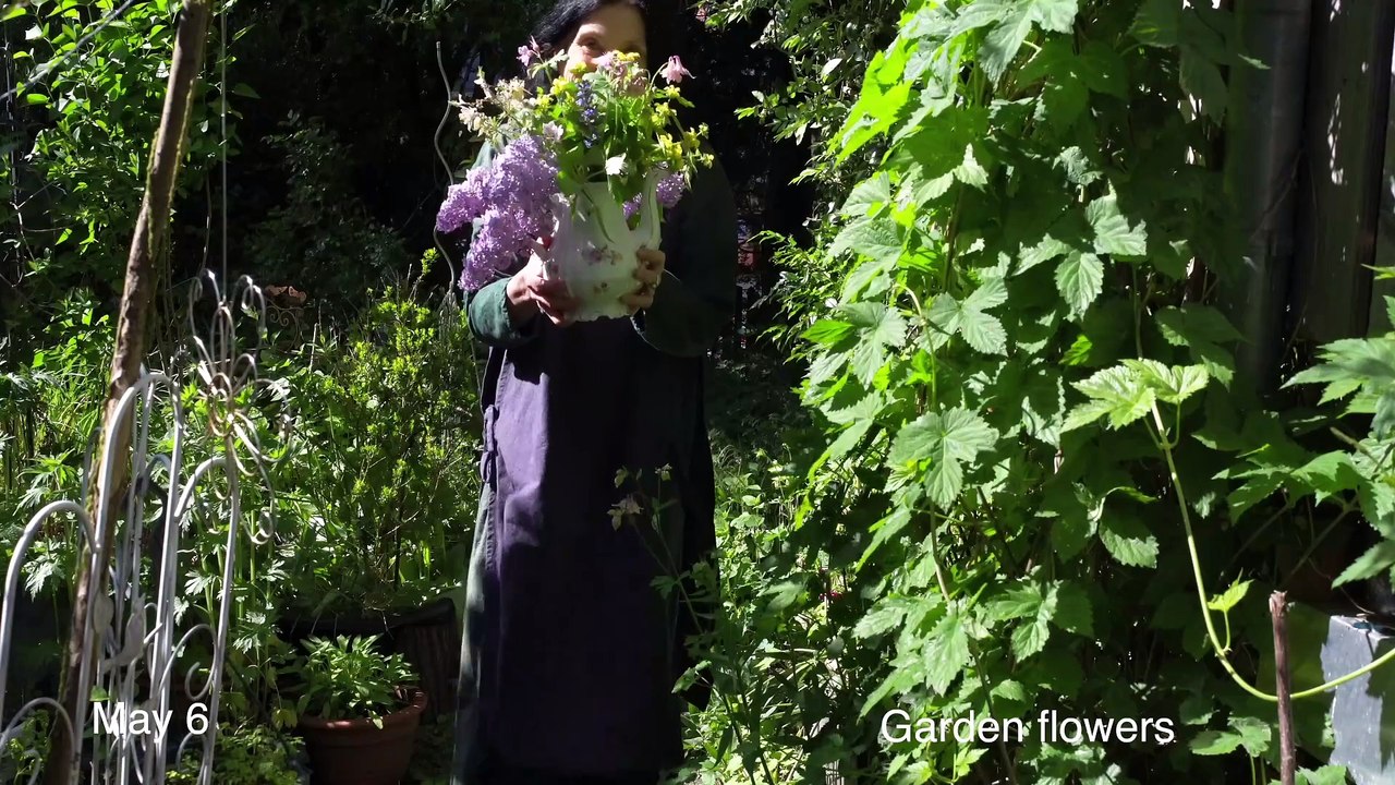 My virtual diary:  May 2025