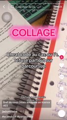 Alerte Parcoursup 🚨 Fake News: ce que tu dois absolument savoir ! | Laura Orvélie