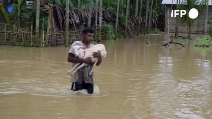 Locals wade through water after monsoon rains in northeast India leave dozens dead