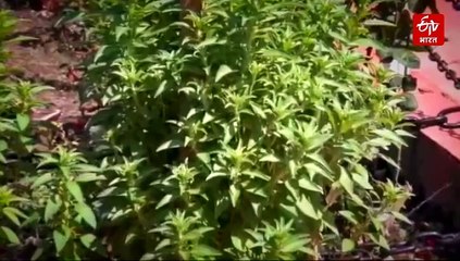 उत्तराखंड के लिए बड़ी टेंशन! प्रदेश में मिट्टी का सेहत चिंताजनक, सॉइल मिनरल्स संतुलन में मिली गड़बड़ी