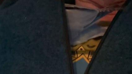 Pet bird finds comfort by burrowing into its owner’s jacket