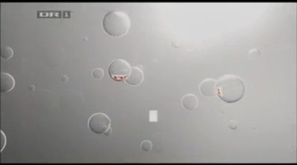 Et godt kvarter ~~ Vejle (Undertekster) ~~ 2007 ~~ DR1