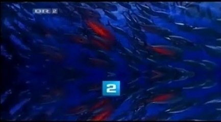 Et godt kvarter ~ Vejle ~ 2007 ~ DR2