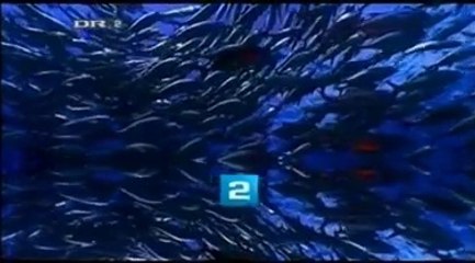 Et godt kvarter ~~ Vejle ~~ 2007 ~~ DR2