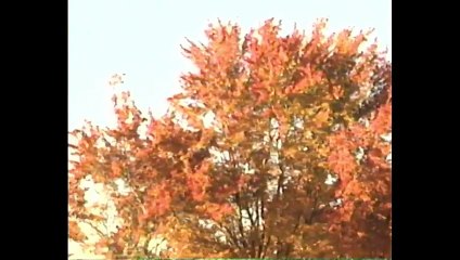 Reading Rainbow - Giving Thanks: A Native American Good Morning Message (1996)