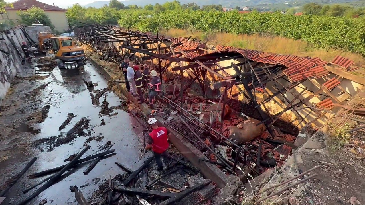 YANGIN FACİASI 16 BÜYÜKBAŞ KURBANLIK TELEF OLDU