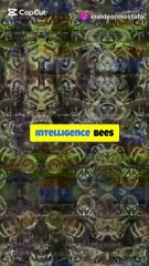 The Power of Collective Intelligence: What We Can Learn from Bees