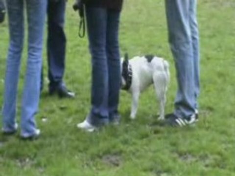 Boulogne le 06 avril 2008