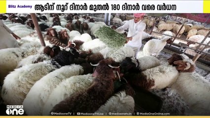 ബലി പെരുന്നാളിന് മുന്നോടിയായി കുവൈത്തിലെ കന്നുകാലി വിപണിയിൽ വില കുത്തനെ വർധിച്ചു | Kuwait