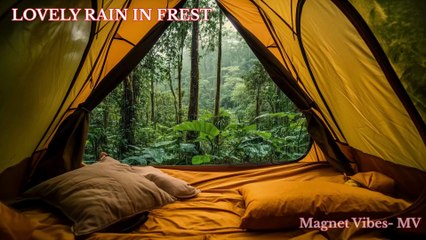 Rain Forest Tent- Rain_Rain Sound_ Relaxing Ambiance- Sleep in peace