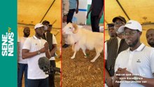 Tabaski 2025 : Quand on demande au Président Diomaye combien il a acheté son mouton