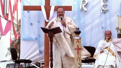 Homilía La paz sin evangelio es utopía