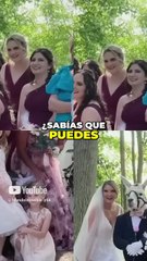 ¡Alquila una Llama como Padrino de Boda en Nueva York!#curiosidades
