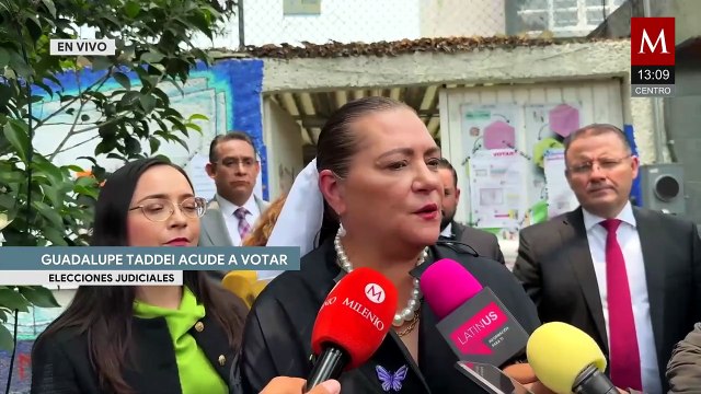 Guadalupe Taddei utilizó anotaciones para votar en elección judicial