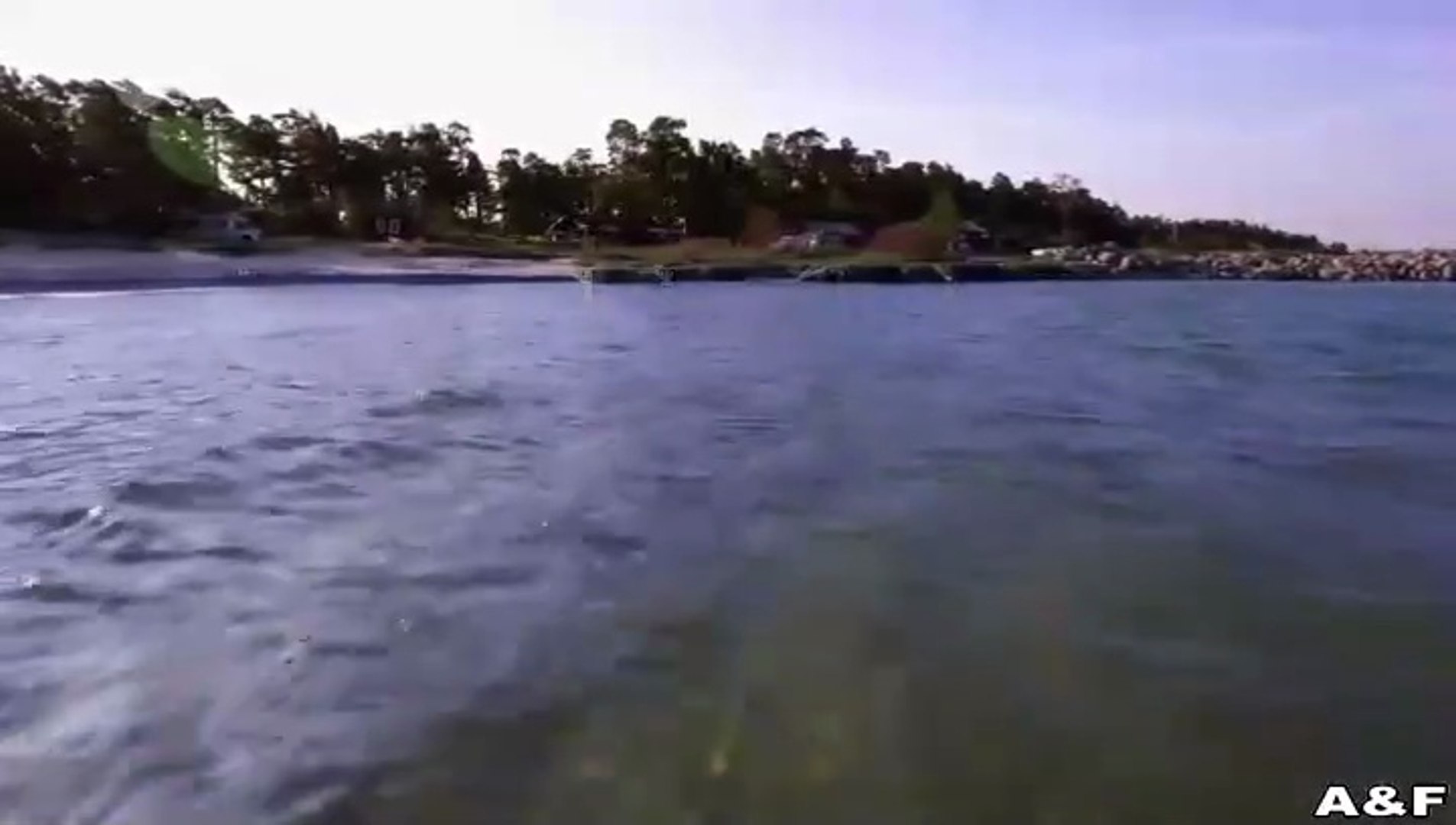 Ormonda yalangoch video onlayn