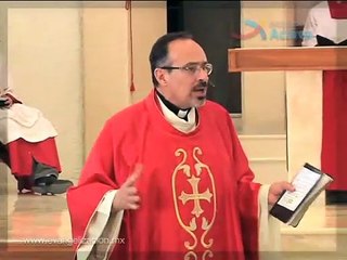 Homilía Un loco de amor