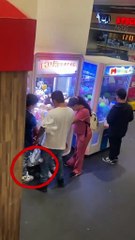 Familia es captada metiendo a una niña en una máquina de peluches