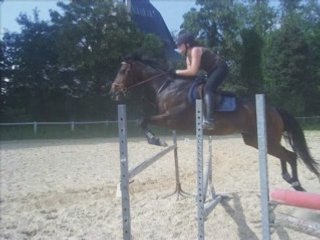 Nouveau coup de coeur