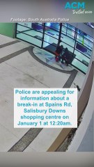 Thieves smash into Pokémon vending machine in an attempt to catch 'em all