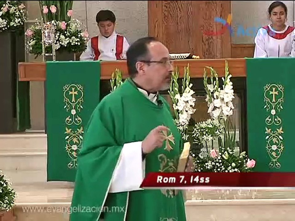 Homilía No soy profeta ni hijo de profeta