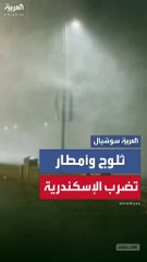 ثلوج وامطارفي الإسكندرية