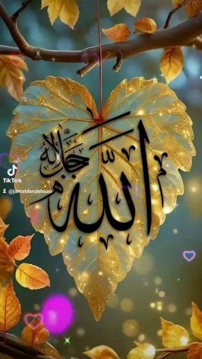 Duniya Kisi shabe Mein Na Kam Nahin Hai Sarkar ka naukar hun Koi Ham Nahin