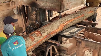 How to Make a 2x20 Board for House Materials with a Sawmill Machine