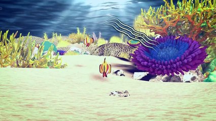 El blanqueamiento de los corales