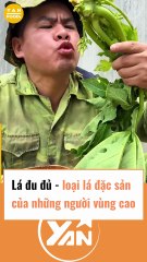 Loại lá đặc sản của những người vùng cao