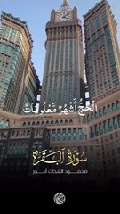 اَلْحَجُّ اَشْهُرٌ مَّعْلُوْمٰتٌۚ-فَمَنْ فَرَضَ فِیْهِنَّ الْحَجَّ فَلَا رَفَثَ وَ لَا فُسُوْقَۙ  / سورہ البقرہ