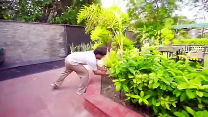 I Sneaked Wild Animal in "PET FRIENDLY" Restaurants