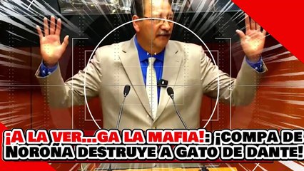 🔥🚨¡A LE VER…GA LA MAFIA JUDICIAL! ¡El COMPA de NOROÑA DESTRUYE a OTRO GATO DEL PAN NARANJA!