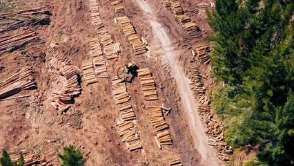 Escape from Extinction Rewilding - Trailer