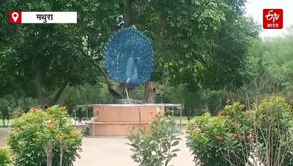 कृष्ण नगरी मथुरा के जवाहर बाग में हरियाली और रौनक, लेकिन शहीद स्थल वीरान