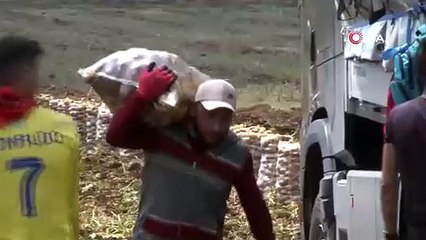 Onlar Türkiye'nin aylık 100 bin TL kazandıran en zor işin en özel işçileri..