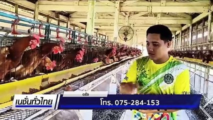 วท.เกษตร ทำฟาร์มไก่ไข่ต้นแบบขายราคาถูก | เนชั่นทั่วไทย |  2 มิ.ย. 68 | PART 2