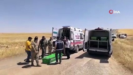 Şanlıurfa'da acı olay: Sadece hayat kurtarmak istemişti!
